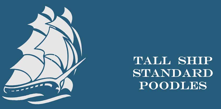 TALLSHIP-STANDARD-POODLES-LOGO